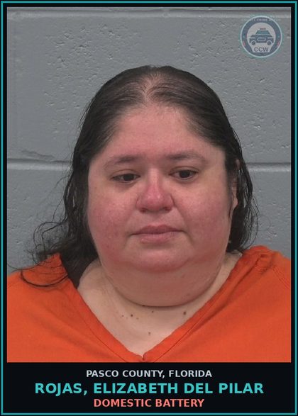 CCW arrest card for ROJAS, ELIZABETH DEL PILAR in Pasco County: DOMESTIC BATTERY