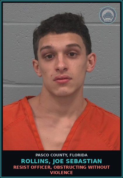 CCW arrest card for ROLLINS, JOE SEBASTIAN in Pasco County: RESIST OFFICER, OBSTRUCTING WITHOUT VIOLENCE