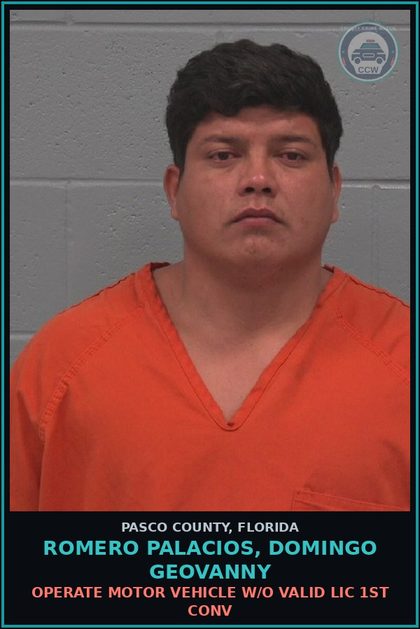 CCW arrest card for ROMERO PALACIOS, DOMINGO GEOVANNY in Pasco County: OPERATE MOTOR VEHICLE W/O VALID LIC 1ST CONV