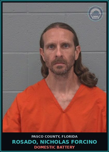 CCW arrest card for ROSADO, NICHOLAS FORCINO in Pasco County: DOMESTIC BATTERY