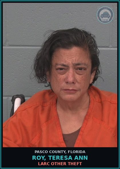 CCW arrest card for ROY, TERESA ANN in Pasco County: LARC OTHER THEFT