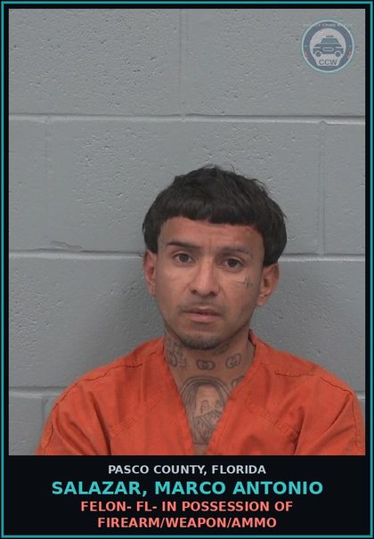 CCW arrest card for SALAZAR, MARCO ANTONIO in Pasco County: TRAFFIC IN METH/AMPHETAMINE 14 GRAMS+