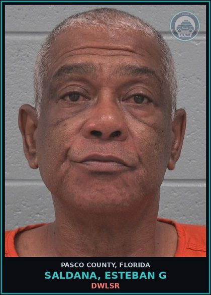 CCW arrest card for SALDANA, ESTEBAN G in Pasco County: DWLSR