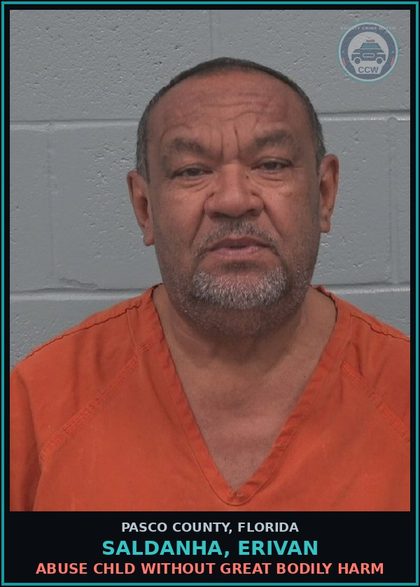CCW arrest card for SALDANHA, ERIVAN in Pasco County: ABUSE chld WITHOUT GREAT BODILY HARM