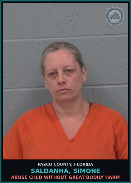 CCW arrest card for SALDANHA, SIMONE in Pasco County: ABUSE chld WITHOUT GREAT BODILY HARM