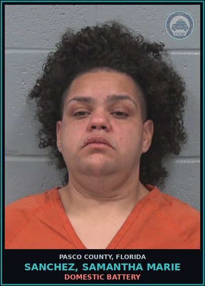 CCW arrest card for SANCHEZ, SAMANTHA MARIE in Pasco County: DOMESTIC BATTERY
