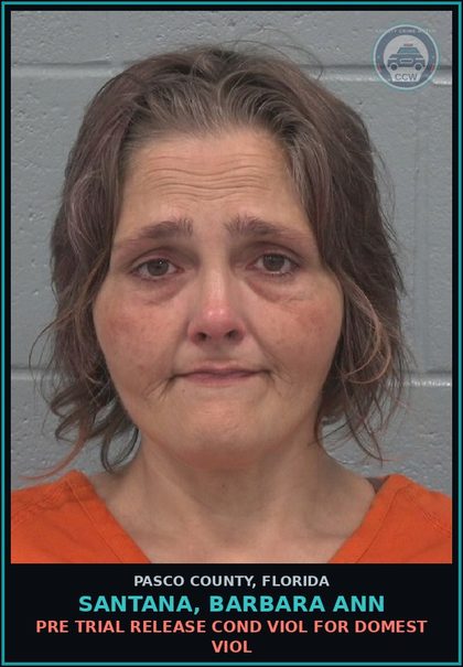 CCW arrest card for SANTANA, BARBARA ANN in Pasco County: PRE TRIAL RELEASE COND VIOL FOR DOMEST VIOL