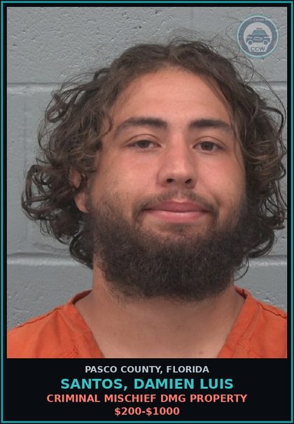 CCW arrest card for SANTOS, DAMIEN LUIS in Pasco County: CRIMINAL MISCHIEF DMG PROPERTY $200-$1000