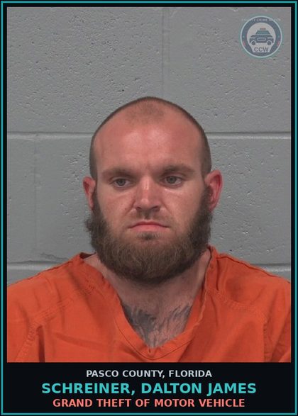 CCW arrest card for SCHREINER, DALTON JAMES in Pasco County: GRAND THEFT OF MOTOR VEHICLE