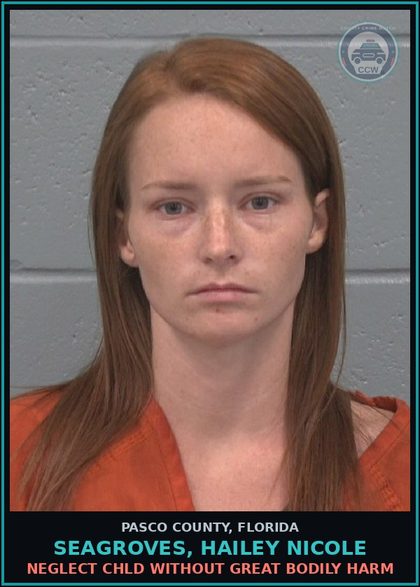 CCW arrest card for SEAGROVES, HAILEY NICOLE in Pasco County: NEGLECT chld WITHOUT GREAT BODILY HARM