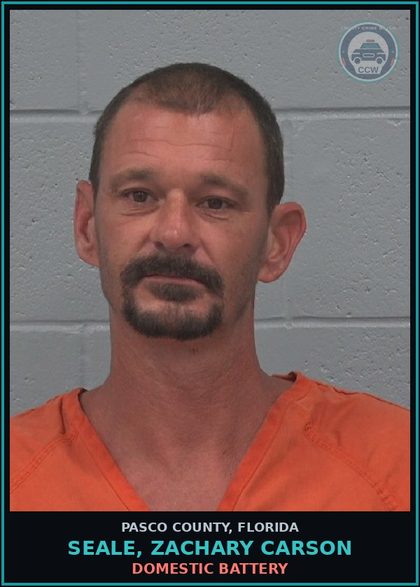 CCW arrest card for SEALE, ZACHARY CARSON in Pasco County: DOMESTIC BATTERY