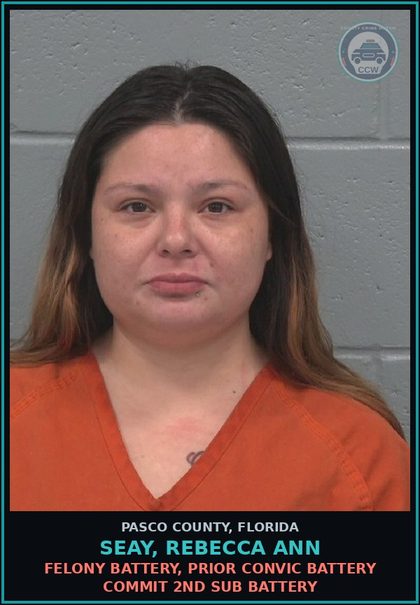 CCW arrest card for SEAY, REBECCA ANN in Pasco County: FELONY BATTERY, PRIOR CONVIC BATTERY COMMIT 2ND SUB BATTERY