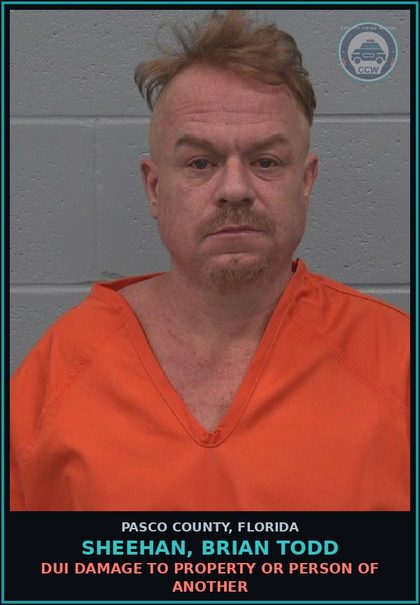 CCW arrest card for SHEEHAN, BRIAN TODD in Pasco County: DUI DAMAGE TO PROPERTY OR PERSON OF ANOTHER