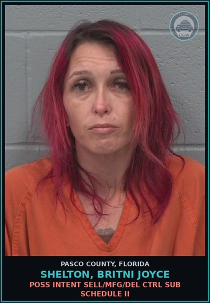 CCW arrest card for SHELTON, BRITNI JOYCE in Pasco County: TRAFFIC IN METH/AMPHETAMINE 14 GRAMS+