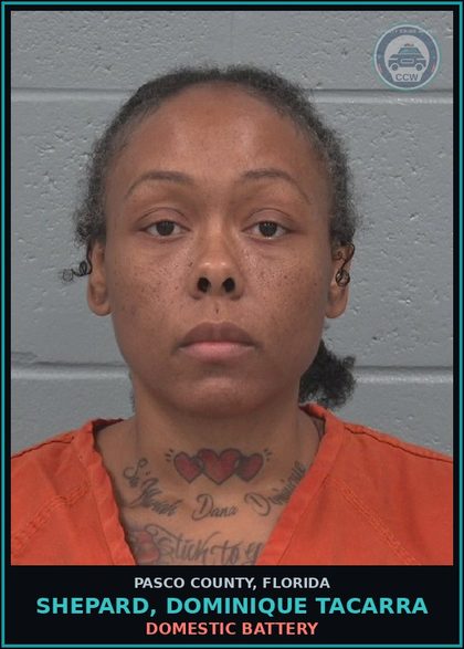 CCW arrest card for SHEPARD, DOMINIQUE TACARRA in Pasco County: DOMESTIC BATTERY