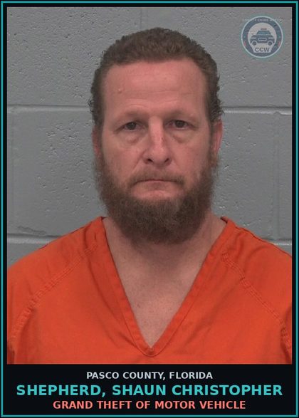 CCW arrest card for SHEPHERD, SHAUN CHRISTOPHER in Pasco County: GRAND THEFT OF MOTOR VEHICLE