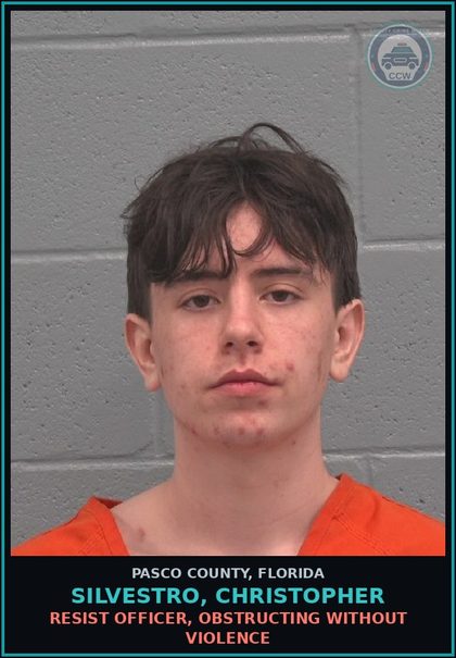 CCW arrest card for SILVESTRO, CHRISTOPHER in Pasco County: RESIST OFFICER, OBSTRUCTING WITHOUT VIOLENCE