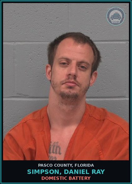 CCW arrest card for SIMPSON, DANIEL RAY in Pasco County: DOMESTIC BATTERY