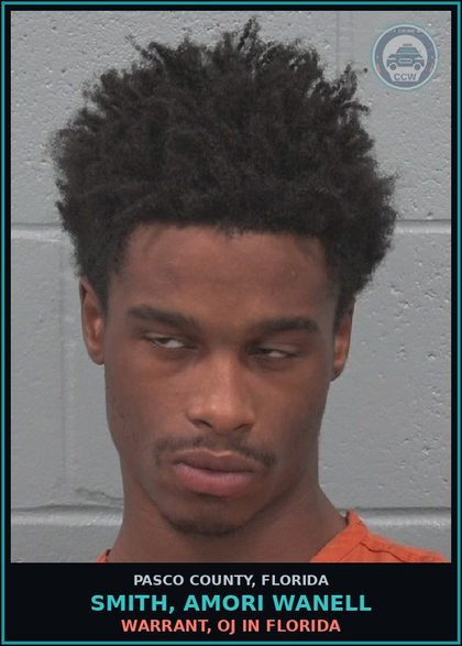 CCW arrest card for SMITH, AMORI WANELL in Pasco County: WARRANT, OJ IN FLORIDA