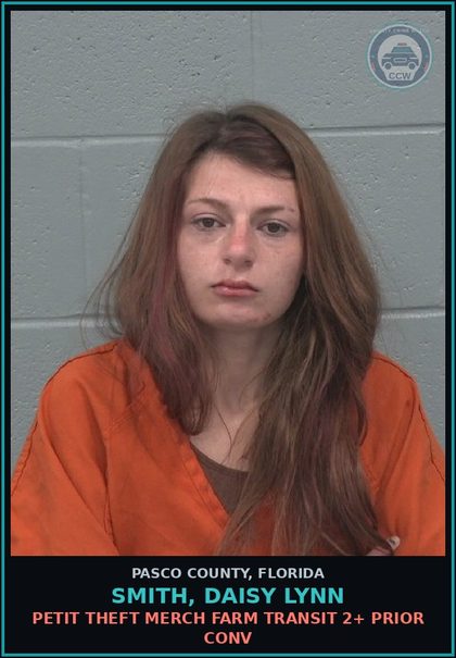 CCW arrest card for SMITH, DAISY LYNN in Pasco County: PETIT THEFT MERCH FARM TRANSIT 2+ PRIOR CONV
