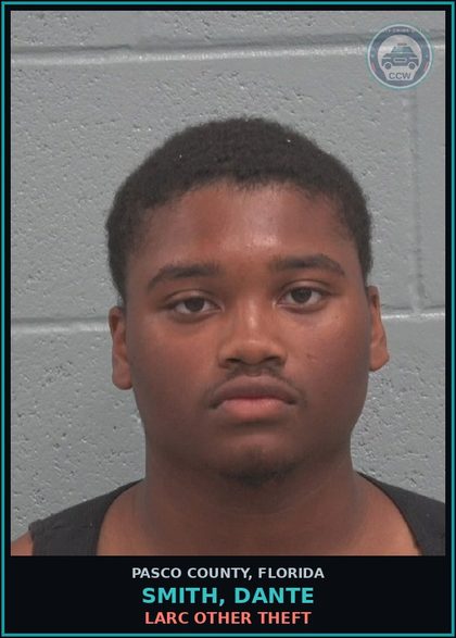 CCW arrest card for SMITH, DANTE in Pasco County: LARC OTHER THEFT