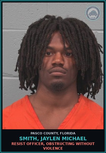 CCW arrest card for SMITH, JAYLEN MICHAEL in Pasco County: DELIVER < 20 GRAMS Canna W/O CONSIDERATION