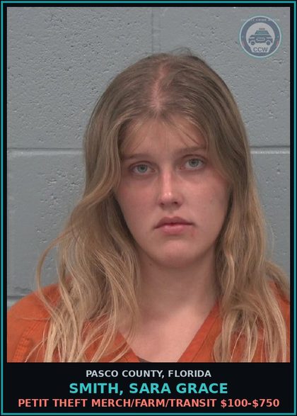 CCW arrest card for SMITH, SARA GRACE in Pasco County: PETIT THEFT MERCH/FARM/TRANSIT $100-$750