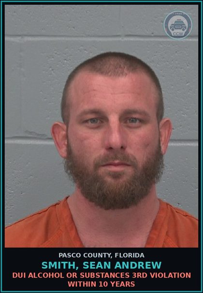 CCW arrest card for SMITH, SEAN ANDREW in Pasco County: POSSESS 20 GRAMS OR LESS