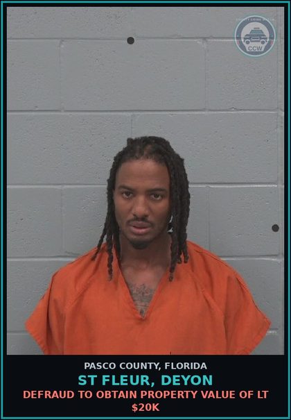 CCW arrest card for ST FLEUR, DEYON in Pasco County: RETAIL THEFT $750+ OR COORDINATE W OTHERS