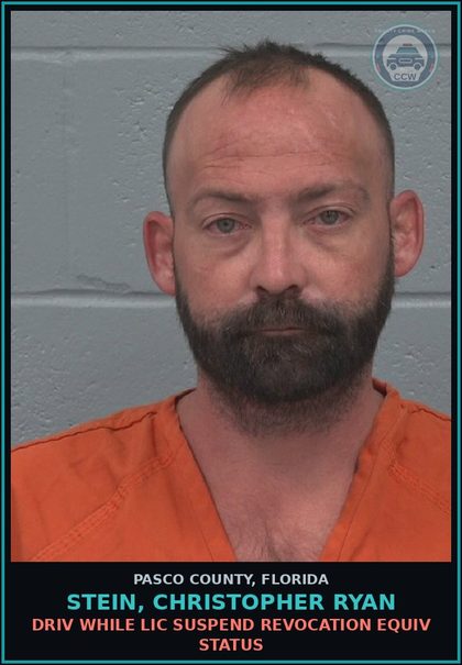 CCW arrest card for STEIN, CHRISTOPHER RYAN in Pasco County: DRIV WHILE LIC SUSPEND REVOCATION EQUIV STATUS