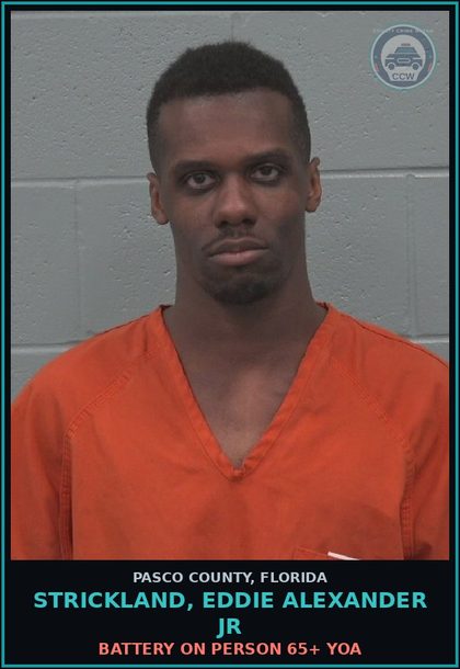 CCW arrest card for STRICKLAND, EDDIE ALEXANDER JR in Pasco County: BATTERY ON PERSON 65+ YOA