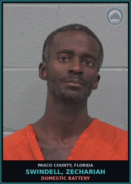 CCW arrest card for SWINDELL, ZECHARIAH in Pasco County: DOMESTIC BATTERY