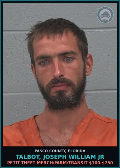 CCW arrest card for TALBOT, JOSEPH WILLIAM JR in Pasco County: PETIT THEFT MERCH/FARM/TRANSIT $100-$750