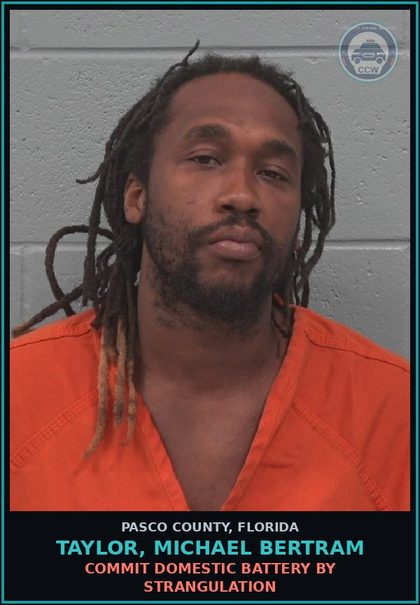 CCW arrest card for TAYLOR, MICHAEL BERTRAM in Pasco County: COMMIT DOMESTIC BATTERY BY STRANGULATION