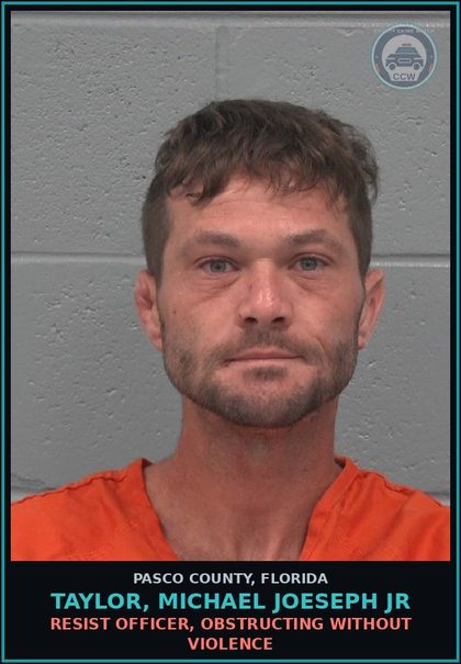 CCW arrest card for TAYLOR, MICHAEL JOESEPH JR in Pasco County: POSSESS contr substance W/O PRESCRIPTION