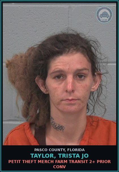 CCW arrest card for TAYLOR, TRISTA JO in Pasco County: PETIT THEFT MERCH FARM TRANSIT 2+ PRIOR CONV