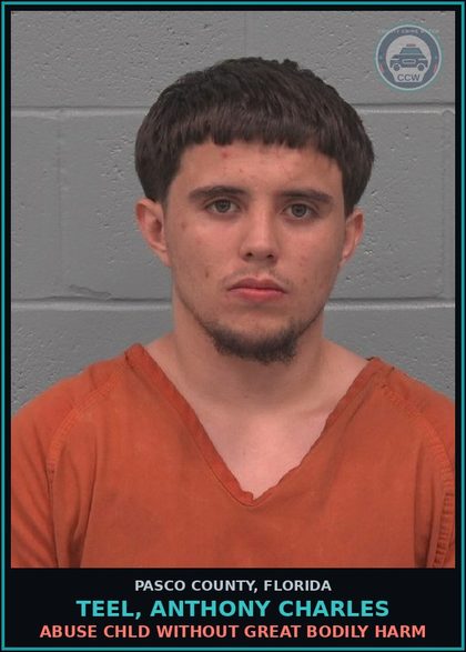 CCW arrest card for TEEL, ANTHONY CHARLES in Pasco County: ABUSE chld WITHOUT GREAT BODILY HARM