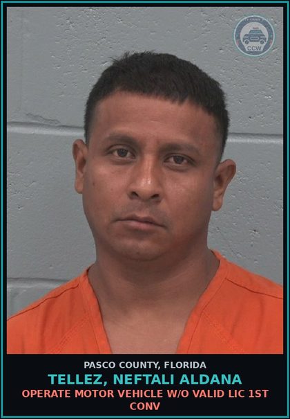 CCW arrest card for TELLEZ, NEFTALI ALDANA in Pasco County: OPERATE MOTOR VEHICLE W/O VALID LIC 1ST CONV