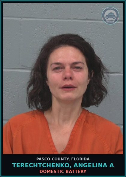CCW arrest card for TERECHTCHENKO, ANGELINA A in Pasco County: DOMESTIC BATTERY