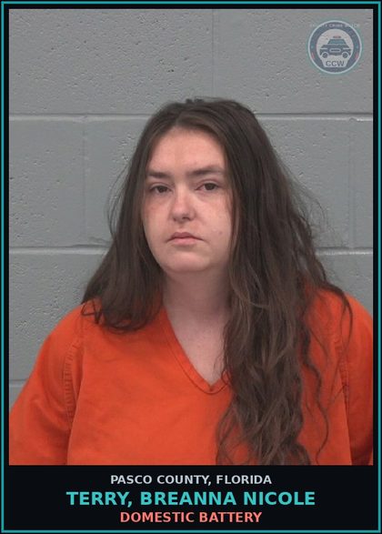CCW arrest card for TERRY, BREANNA NICOLE in Pasco County: DOMESTIC BATTERY