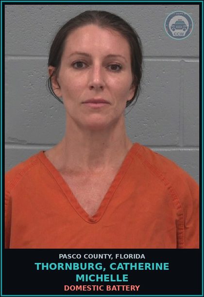CCW arrest card for THORNBURG, CATHERINE MICHELLE in Pasco County: DOMESTIC BATTERY