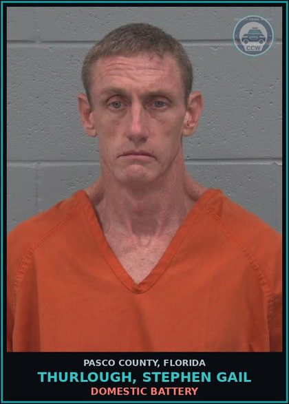 CCW arrest card for THURLOUGH, STEPHEN GAIL in Pasco County: DOMESTIC BATTERY
