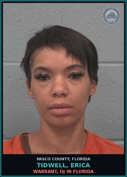 CCW arrest card for TIDWELL, ERICA in Pasco County: WARRANT, OJ IN FLORIDA