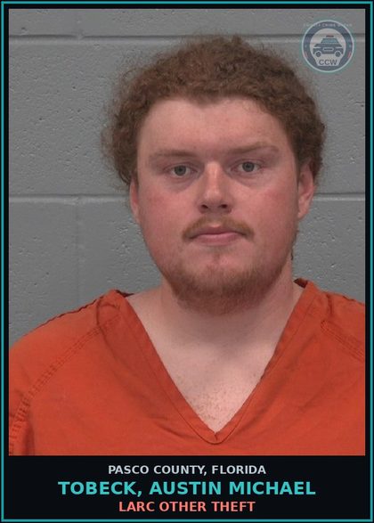CCW arrest card for TOBECK, AUSTIN MICHAEL in Pasco County: LARC OTHER THEFT