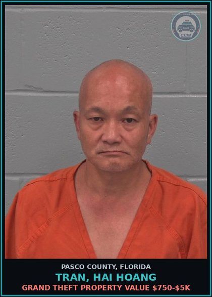 CCW arrest card for TRAN, HAI HOANG in Pasco County: GRAND THEFT PROPERTY VALUE $750-$5K