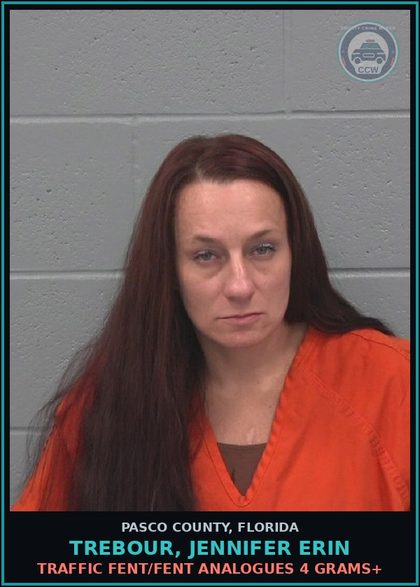 CCW arrest card for TREBOUR, JENNIFER ERIN in Pasco County: TRAFFIC Fent/Fent ANALOGUES 4 GRAMS+