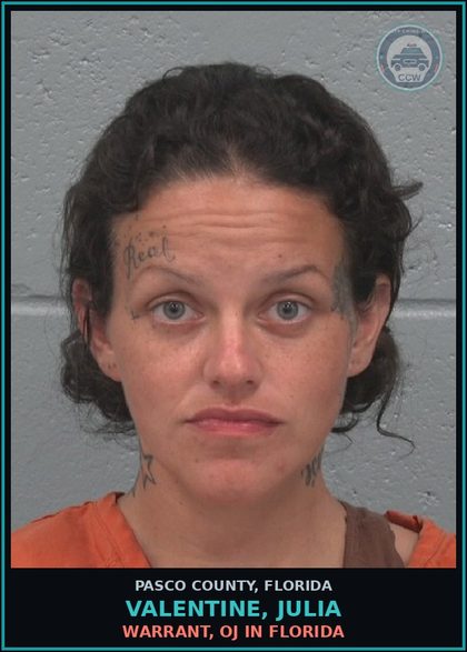 CCW arrest card for VALENTINE, JULIA in Pasco County: WARRANT, OJ IN FLORIDA