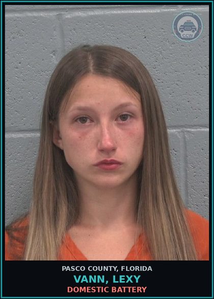 CCW arrest card for VANN, LEXY in Pasco County, Florida: DOMESTIC BATTERY