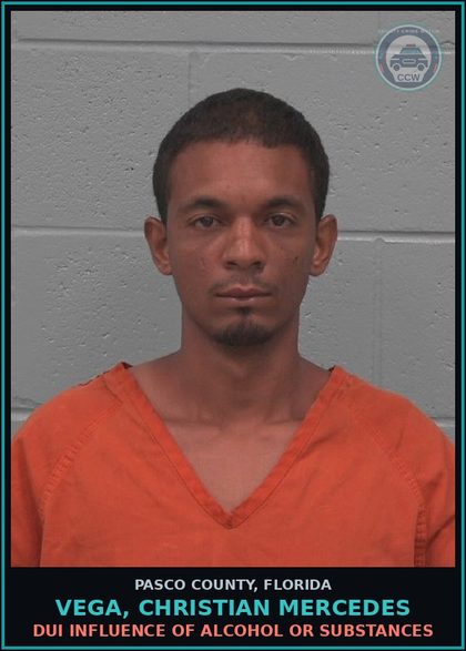CCW arrest card for VEGA, CHRISTIAN MERCEDES in Pasco County: DUI INFLUENCE OF ALCOHOL OR DRUGS