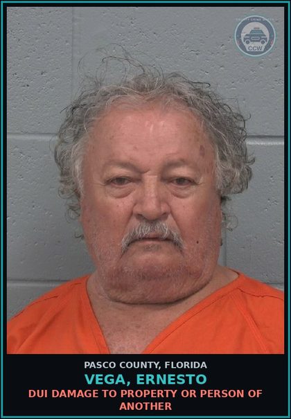 CCW arrest card for VEGA, ERNESTO in Pasco County: DUI DAMAGE TO PROPERTY OR PERSON OF ANOTHER